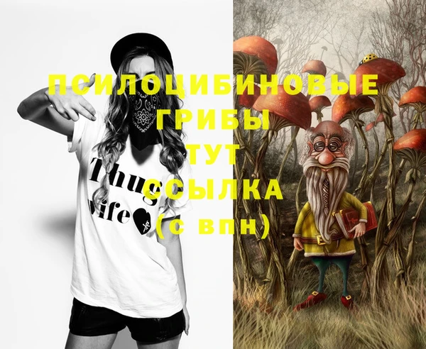 экстази Ладушкин